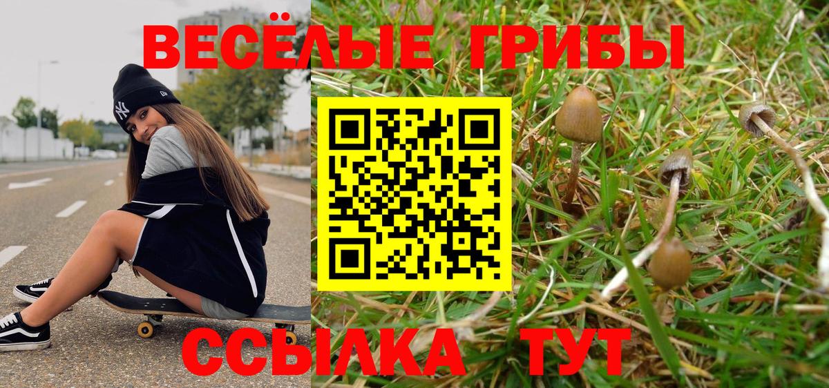 Галлюциногенные грибы прущие грибы  Псилоцибиновые грибы мицелий  Новокуйбышевск  Вход с VPN 